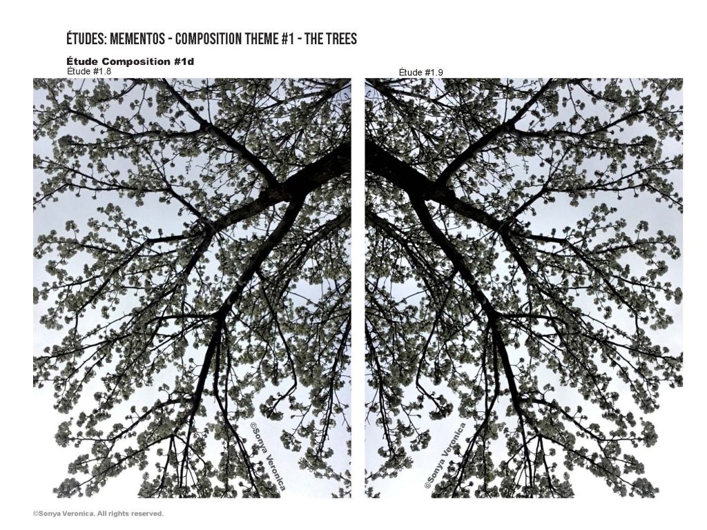 Low saturated photographic image of two similar trees taken from their underside. The pictures are organised to be placed side by side showing asymmetrical mirror impression.